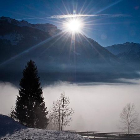 Ferienwohnung Steiner Wald im Pinzgau Eksteriør billede