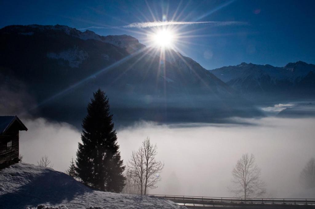 Ferienwohnung Steiner Wald im Pinzgau Eksteriør billede